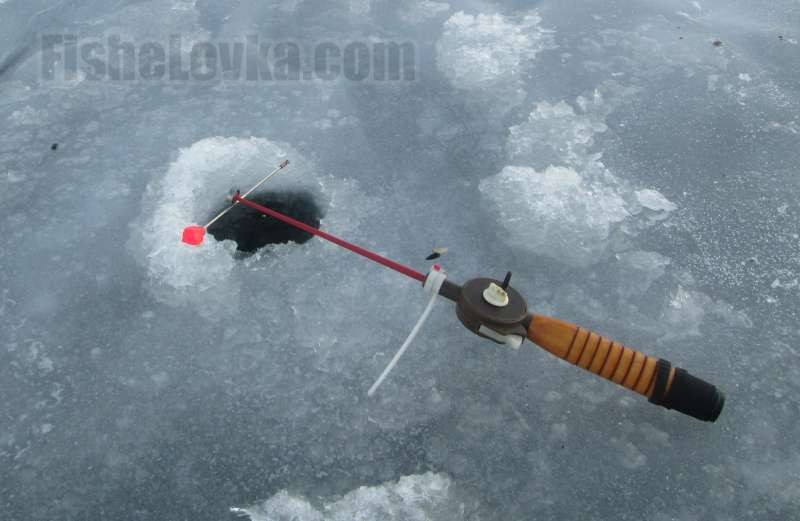Как настроить зимнюю удочку? Полезные советы для рыбалки в холодное время года