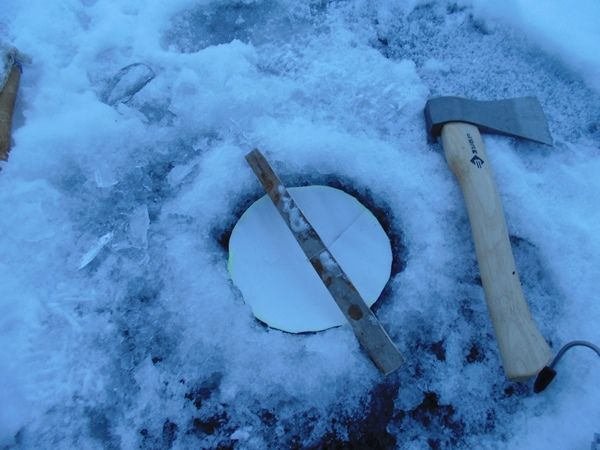 Монтаж поставушки на судака зимой на тюлку - советы и техники рыбалки