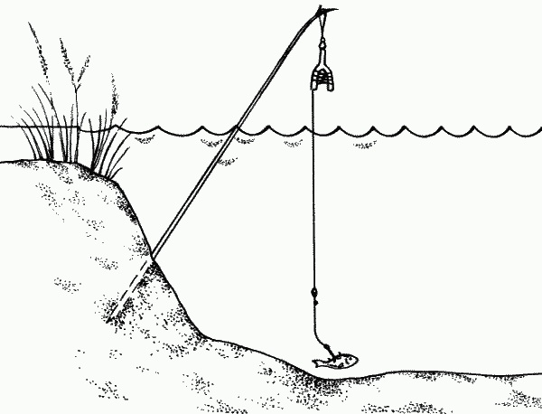 Как правильно ставить жерлицы- схемы установки зимой (по первому льду, в середине зимы) и летом, на реке и озере