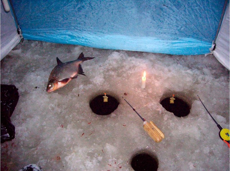 Прикорм леща зимой на водохранилище - секреты успешной рыбалки
