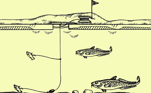 Монтаж зимних жерлиц на щуку | Рыбалка
