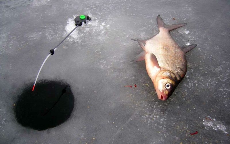Как сделать комбайн для зимней рыбалки без коммерческой цели