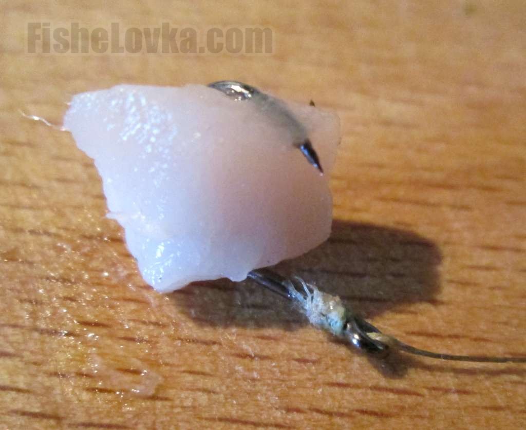 Наживка из сала для рыбалки. Сало на веревочке. Ловля карася на сало. Сало с чесноком насадка. Ловля на сало.