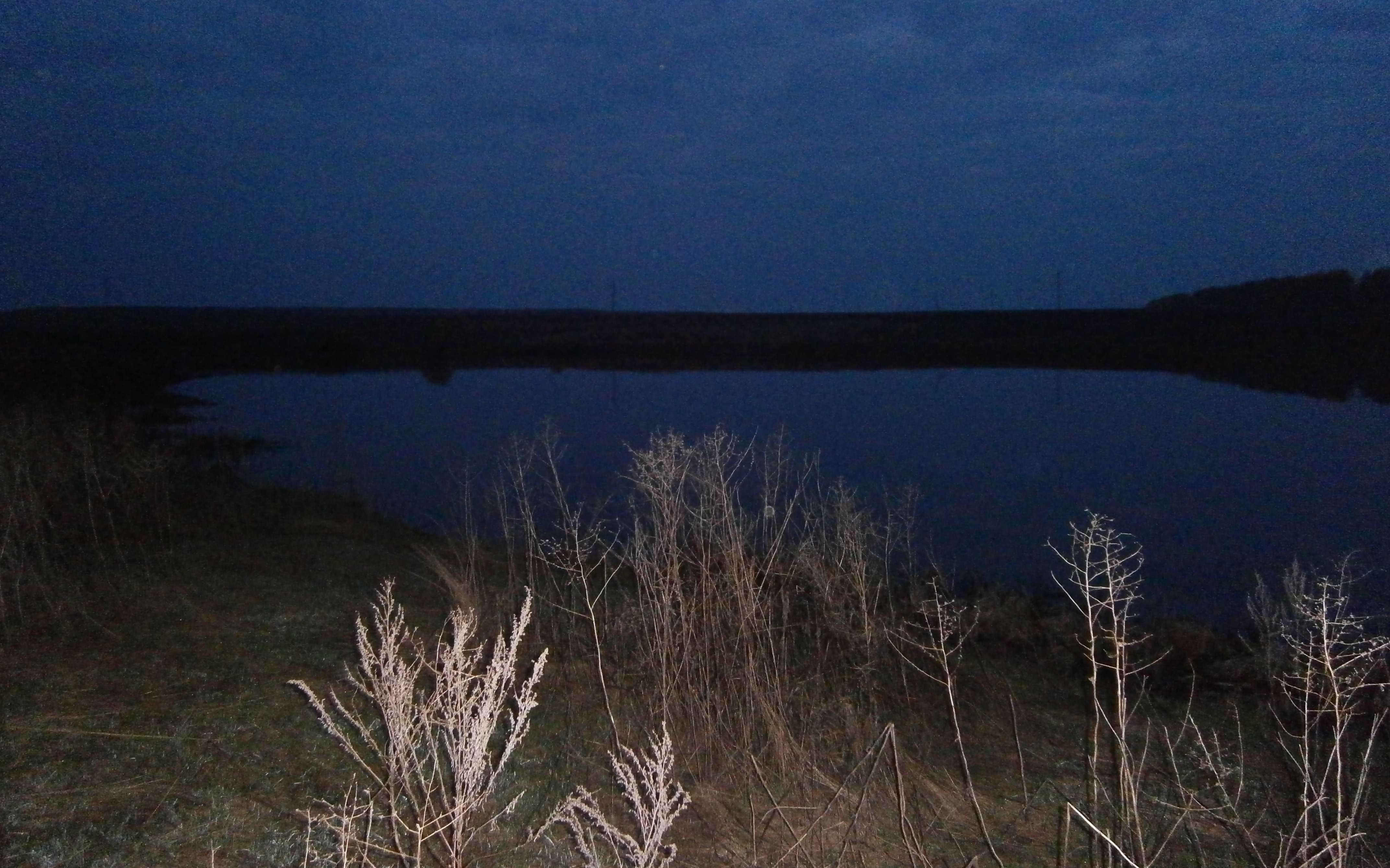 летняя ночная рыбалка видео