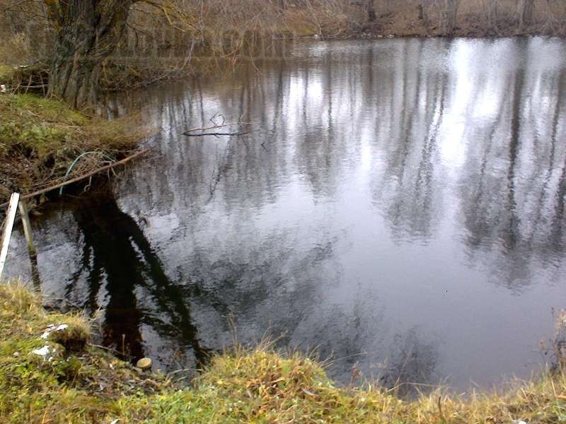 Сельский пруд осенью.